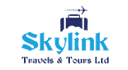 skylink travel